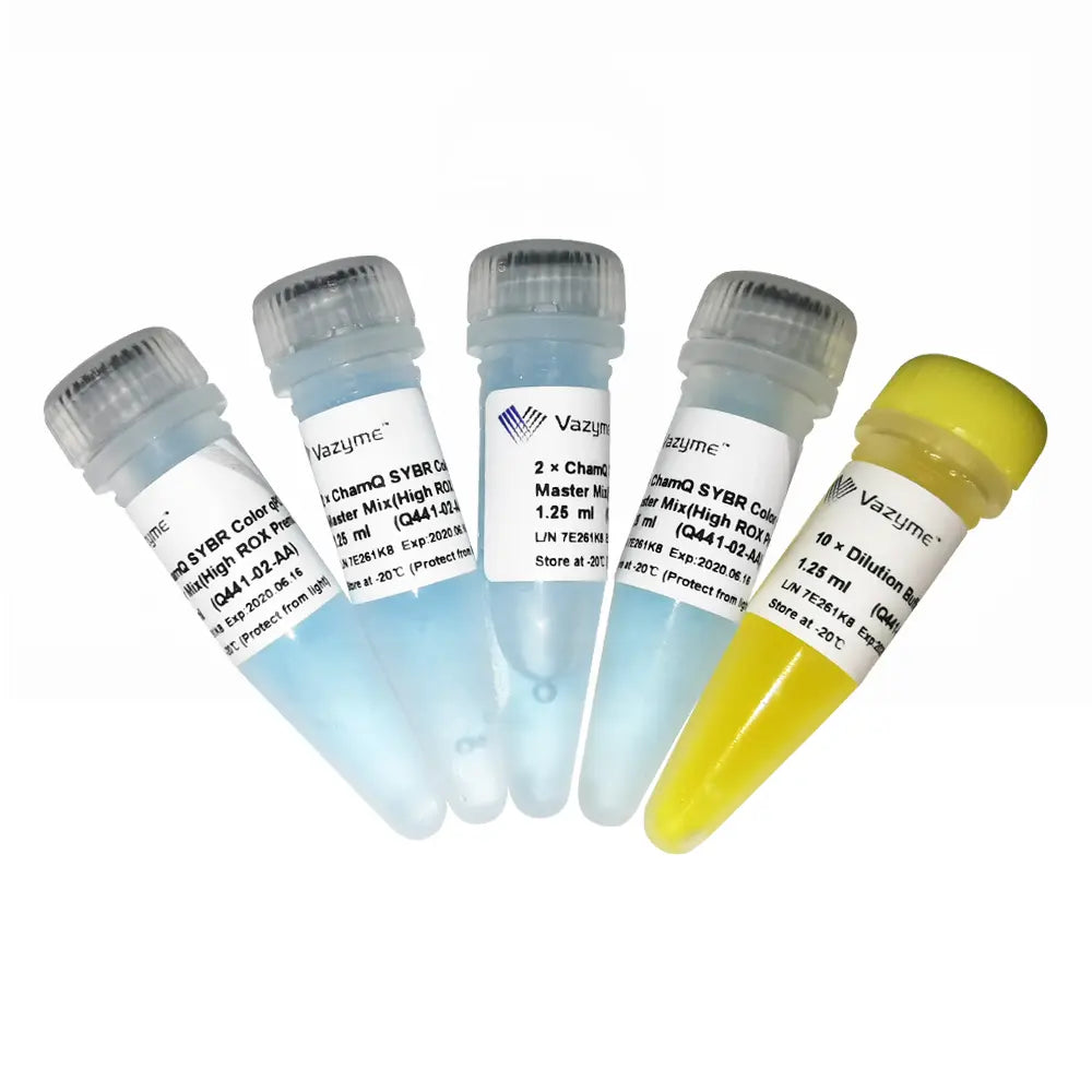 ChamQ SYBR Color qPCR Master Mix (High ROX Premixed)