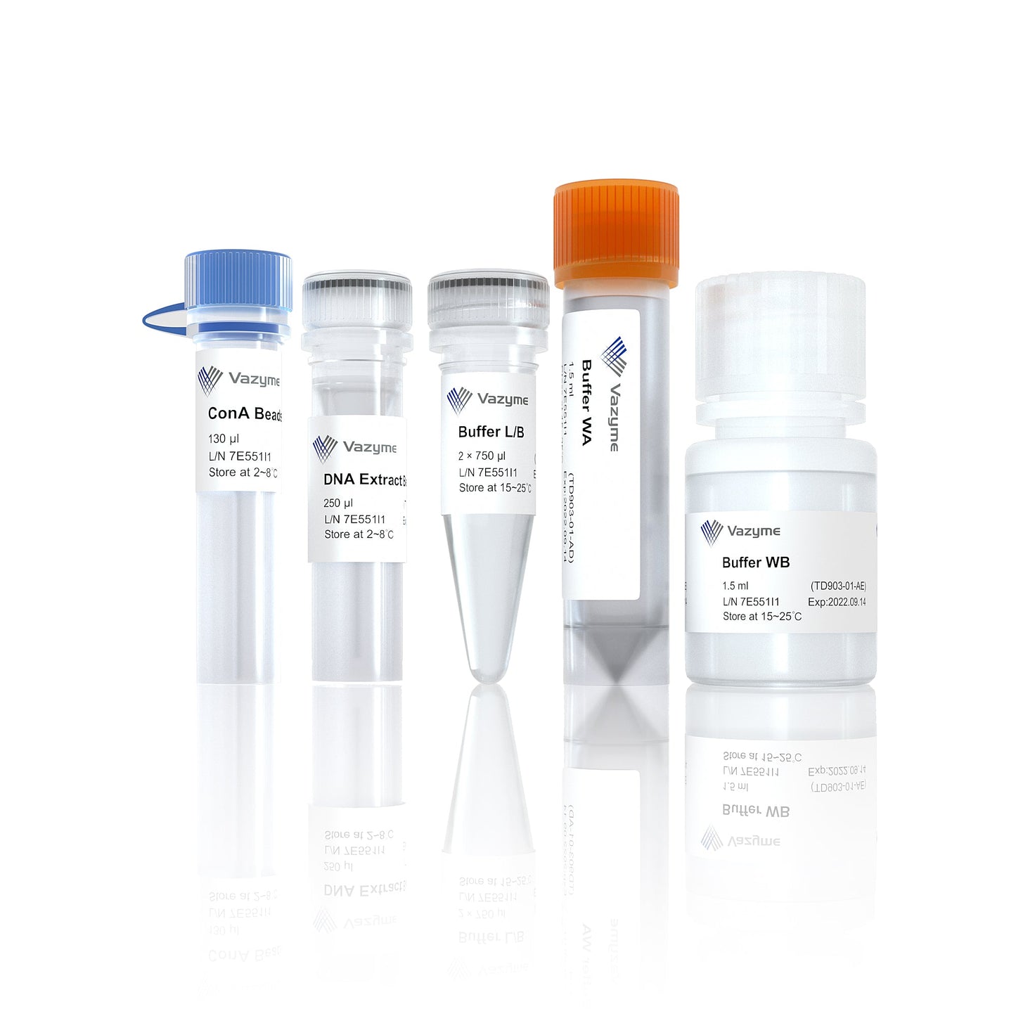 Hyperactive Universal CUT&Tag Assay Kit for Illumina