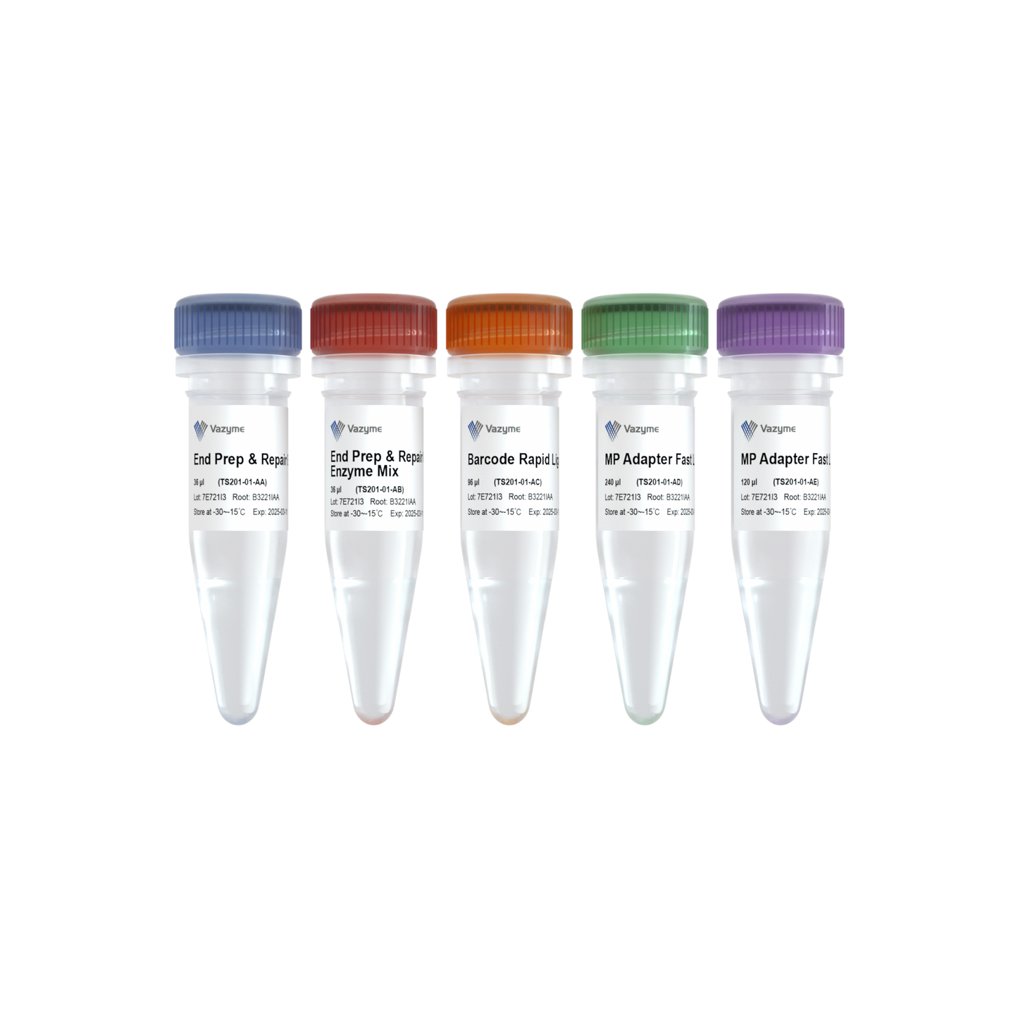 VAHTS TGS DNA Library Prep Kit for ONT