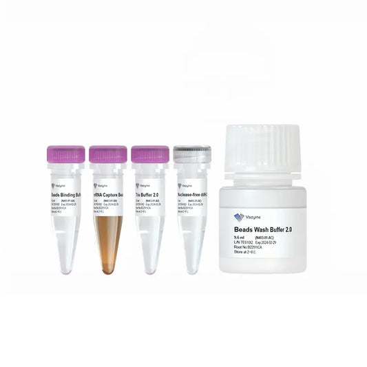 VAHTS mRNA Capture Beads 2.0