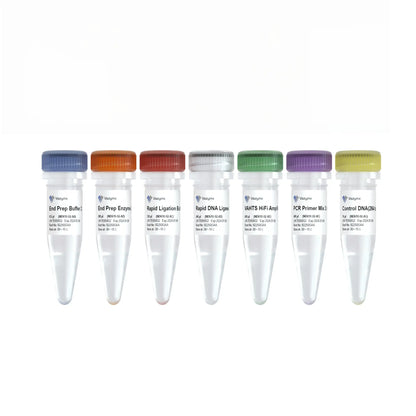 VAHTS Universal DNA Library Prep Kit for Illumina V4