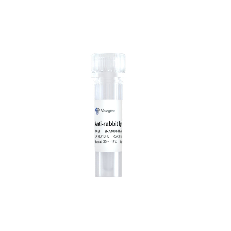 Vazymebiotech Europe – vazymebiotech.eu